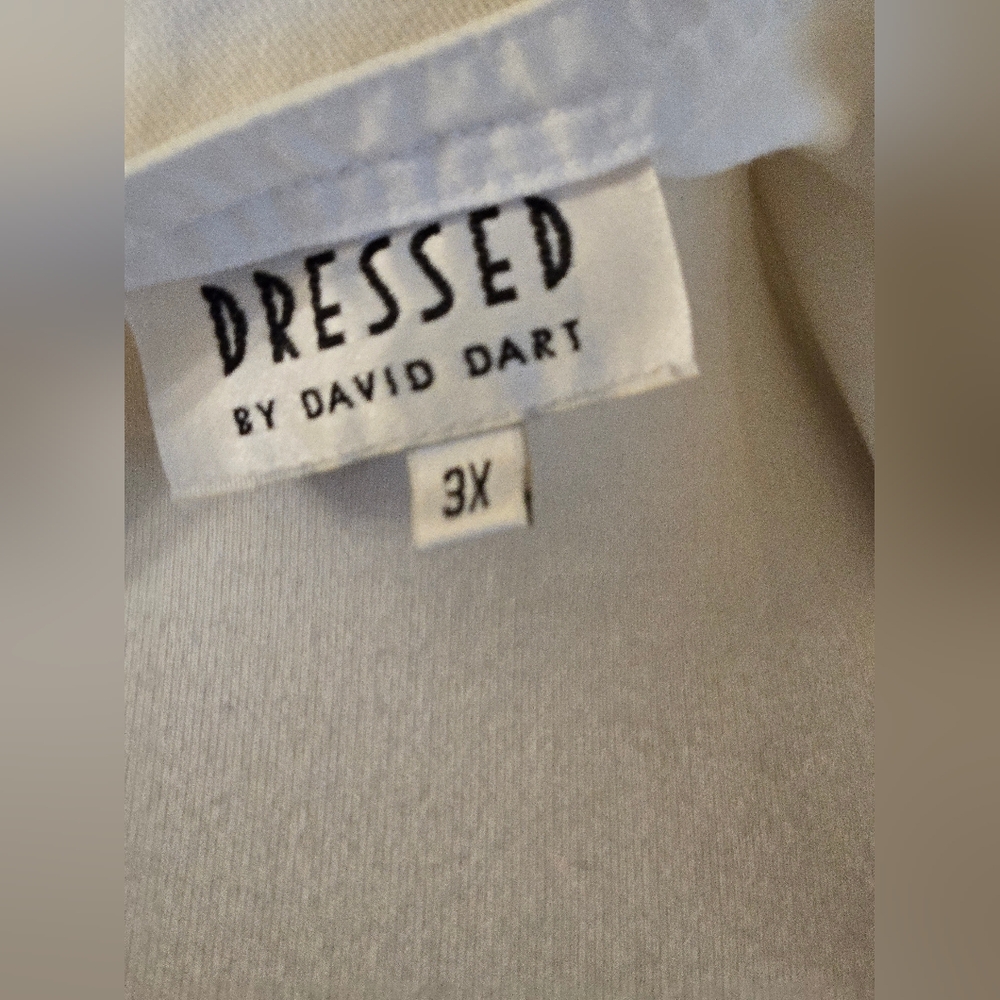 Dressed.       Dress.   335 - Picture 3 of 3